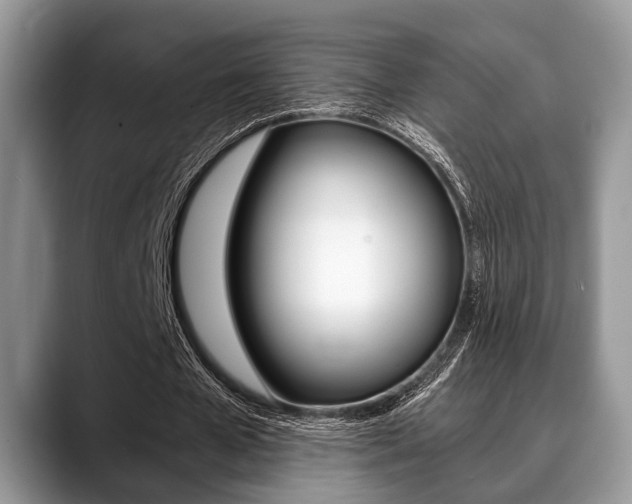 X0000088890577200706080808