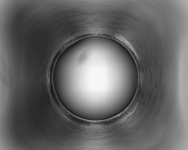 X0000088890581200706080808
