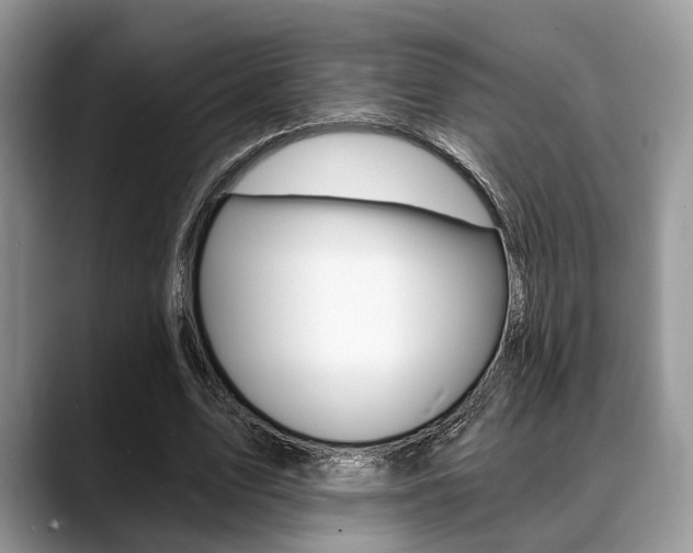 X0000088890583200706080808