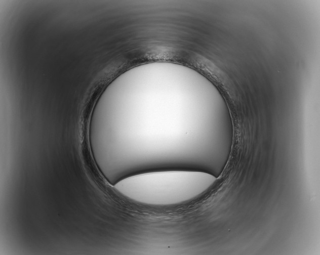 X0000088890586200706080808
