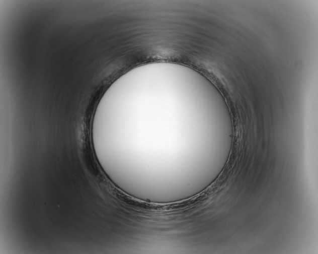 X0000088890591200706080808