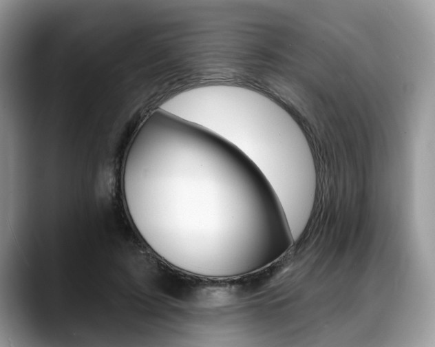 X0000088890595200706080808