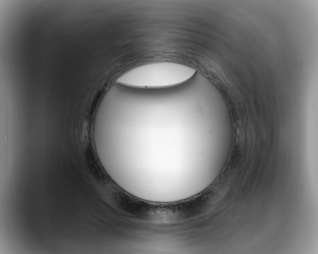 X0000088890598200706080808