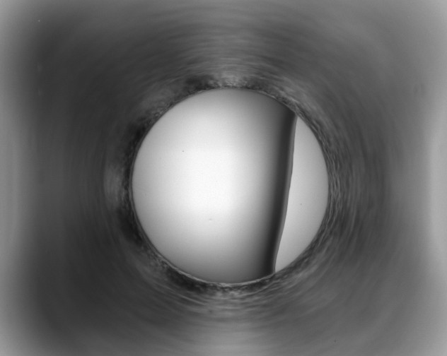 X0000088890599200706080808