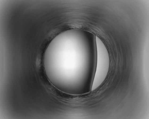 X0000088890600200706080808