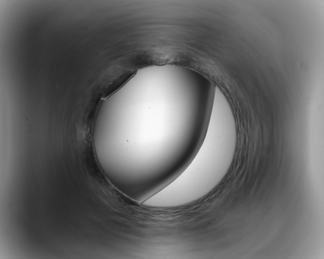 X0000088890601200706080808