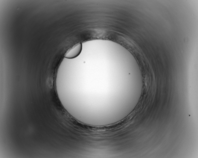 X0000088890602200706080808