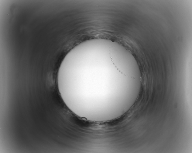 X0000088890607200706080808