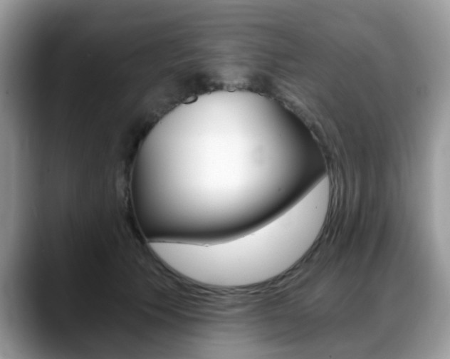 X0000088890609200706080808