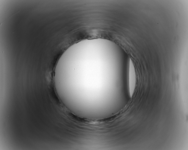 X0000088890611200706080808