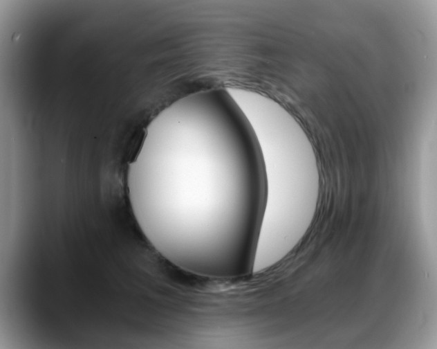 X0000088890613200706080808
