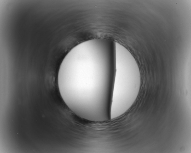 X0000088890615200706080808
