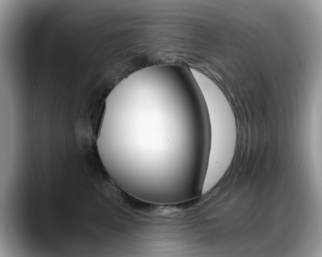 X0000088890617200706080808
