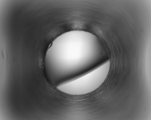 X0000088890619200706080808