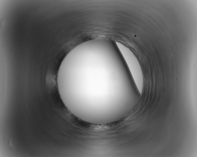 X0000088890621200706080808