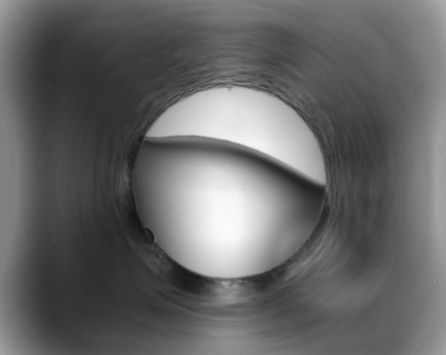 X0000088890623200706080808