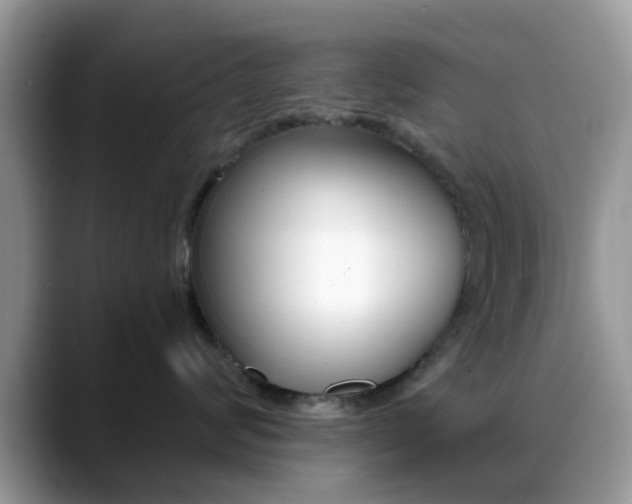 X0000088890624200706080808