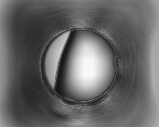 X0000088890626200706080807