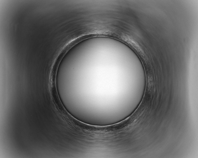 X0000088890628200706080807