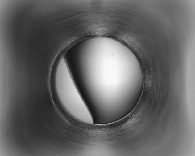 X0000088890630200706080807