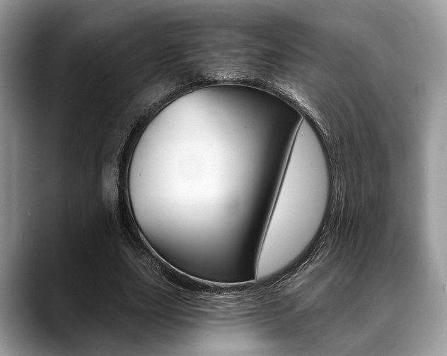 X0000088890631200706080807