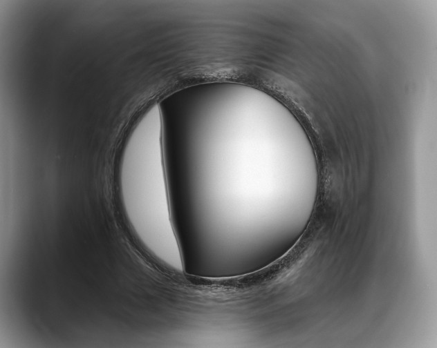 X0000088890633200706080807