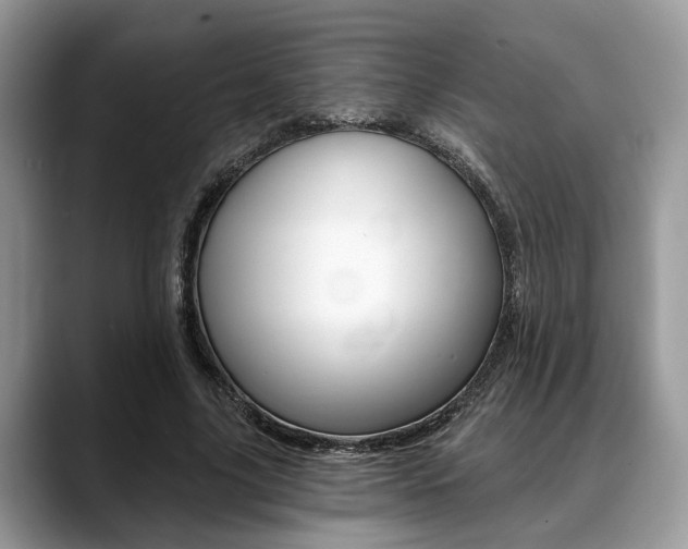 X0000088890635200706080807