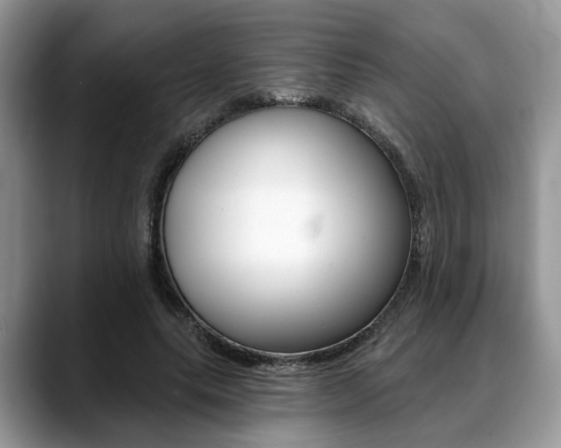X0000088890639200706080807