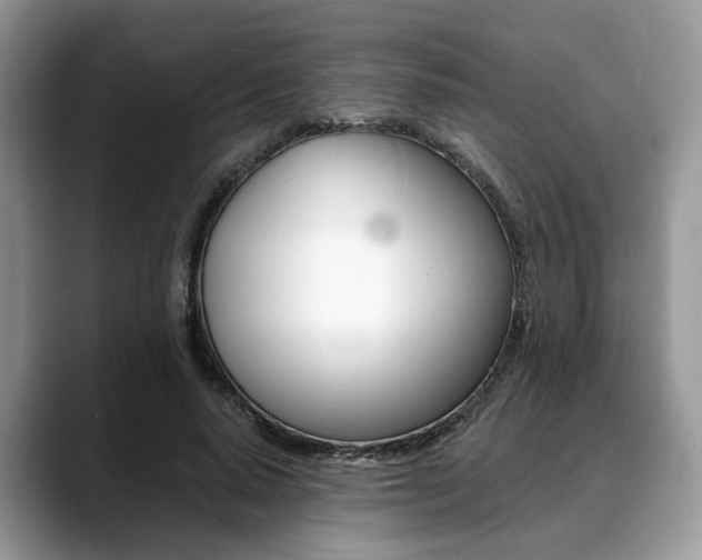X0000088890640200706080807