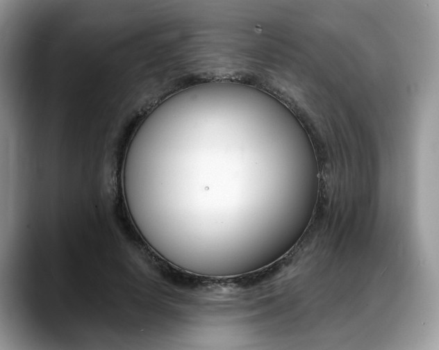 X0000088890642200706080807