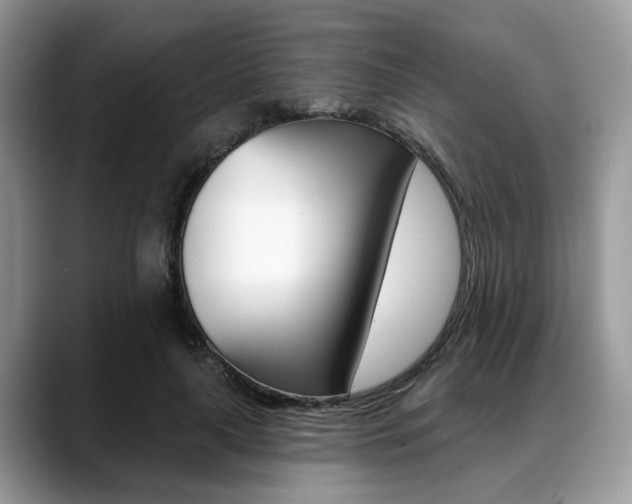 X0000088890643200706080807