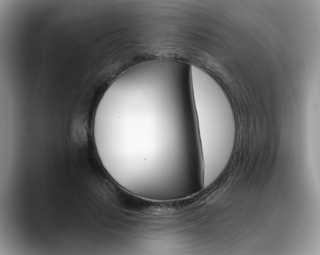 X0000088890644200706080807