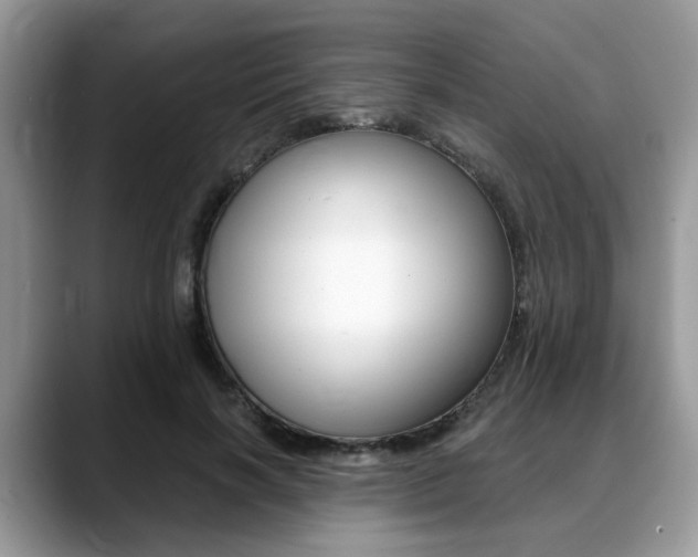 X0000088890646200706080807