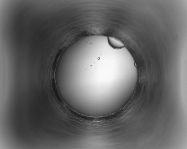 X0000088890647200706080807