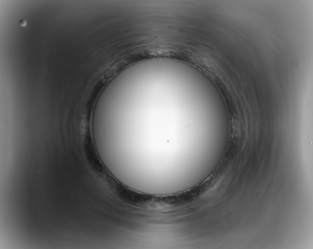 X0000088890648200706080807
