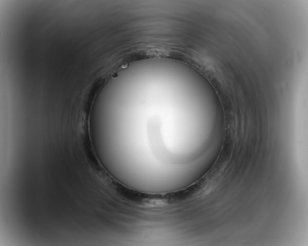 X0000088890649200706080807