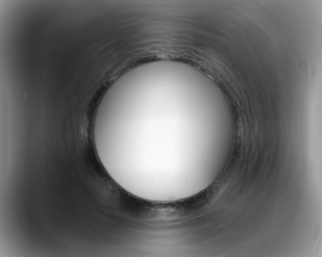X0000088890650200706080807