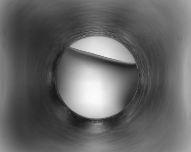 X0000088890651200706080807