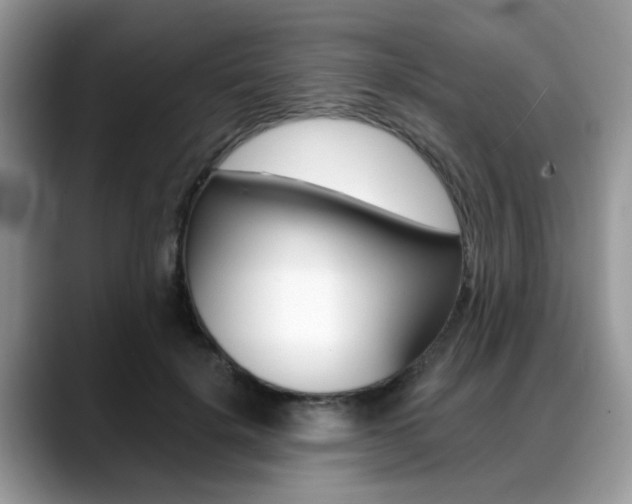 X0000088890652200706080807