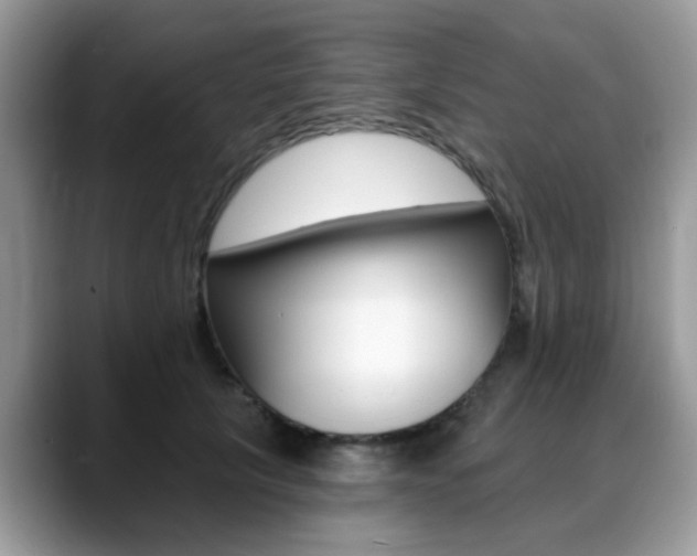 X0000088890657200706080807