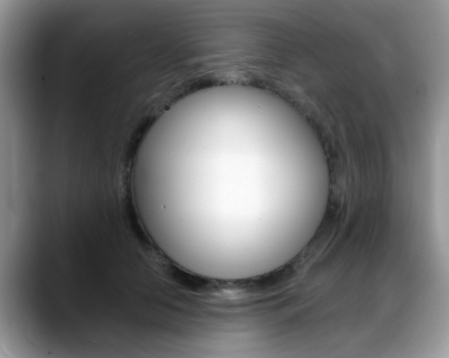 X0000088890658200706080807