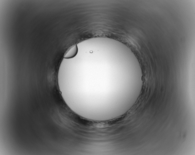 X0000088890659200706080807