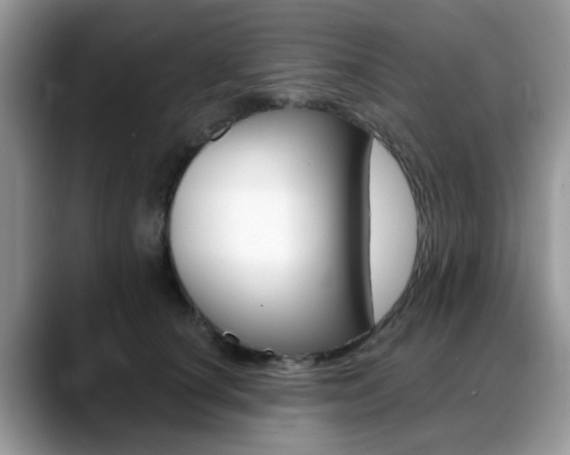 X0000088890660200706080807