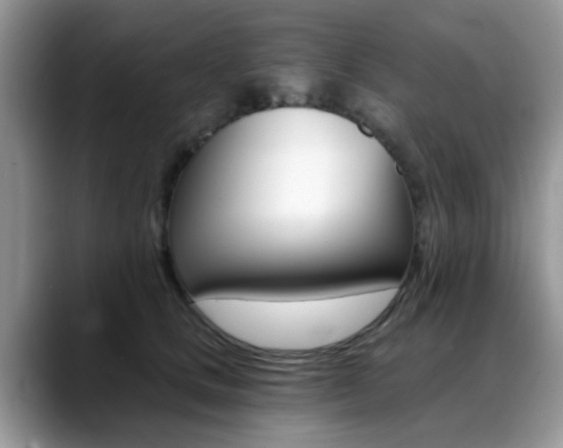X0000088890661200706080807