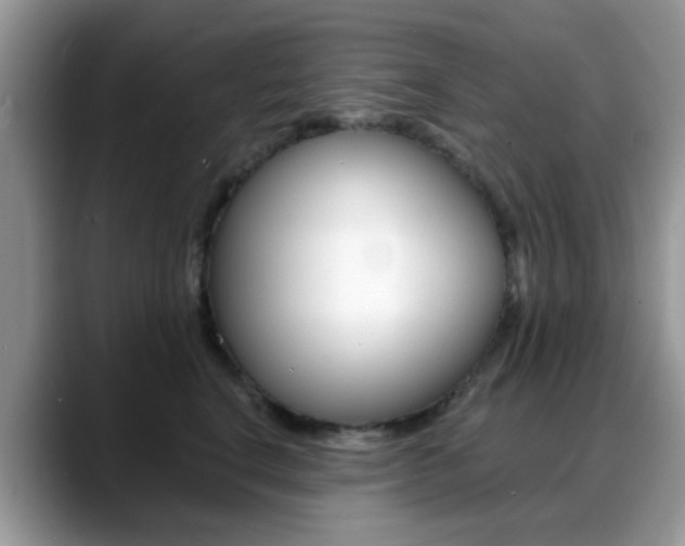 X0000088890664200706080807