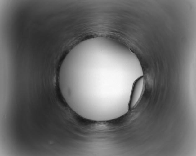 X0000088890668200706080807