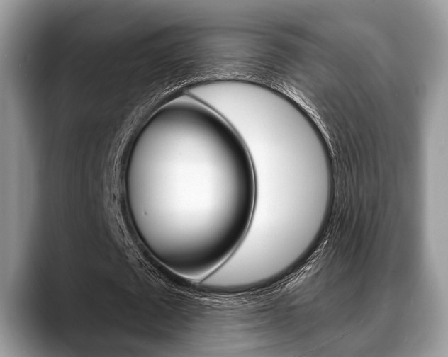 X0000088890673200706080807