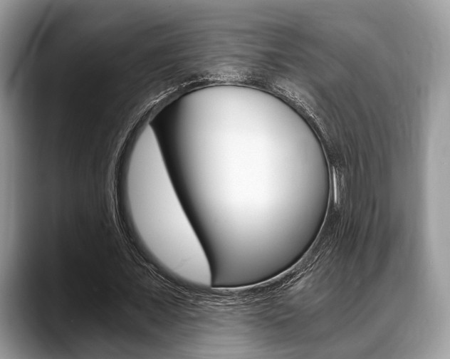 X0000088890675200706080807