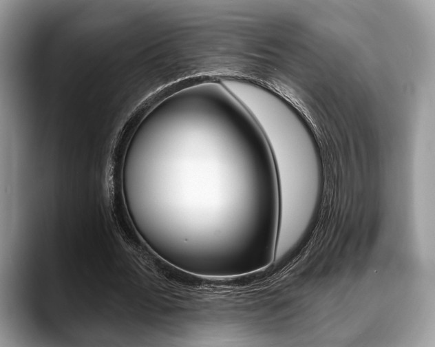 X0000088890676200706080807