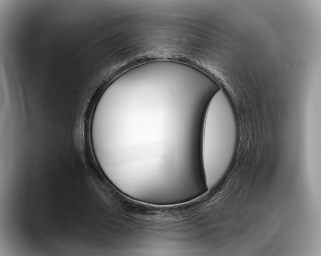 X0000088890678200706080807